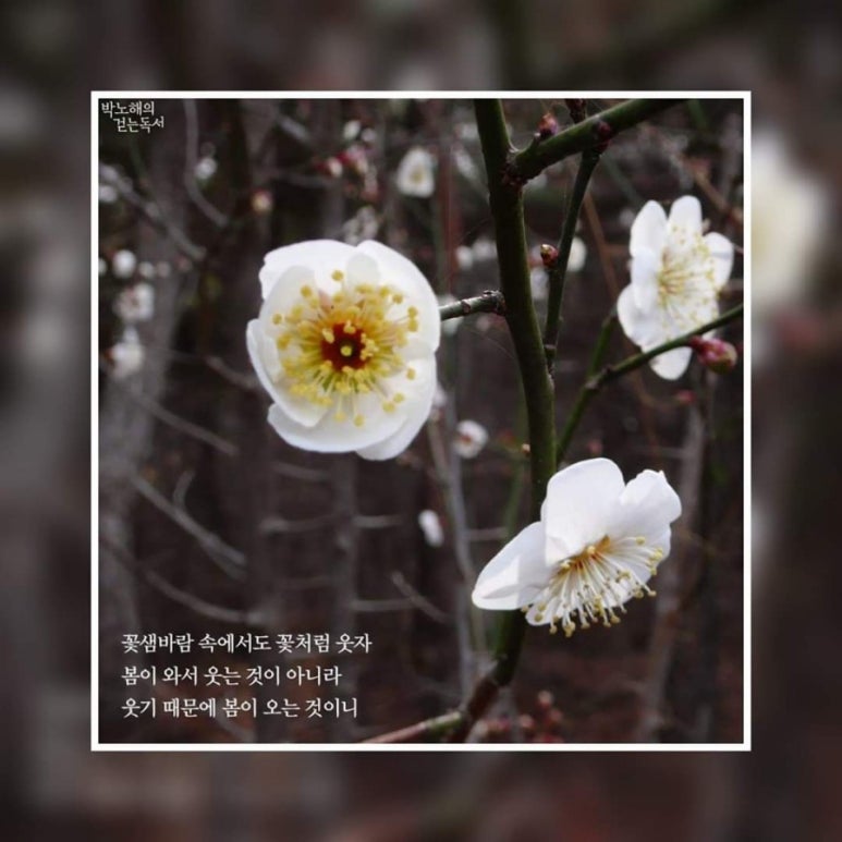 연공방 이미지