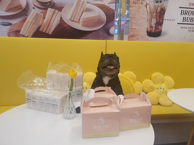 홍베이팡안양 이미지