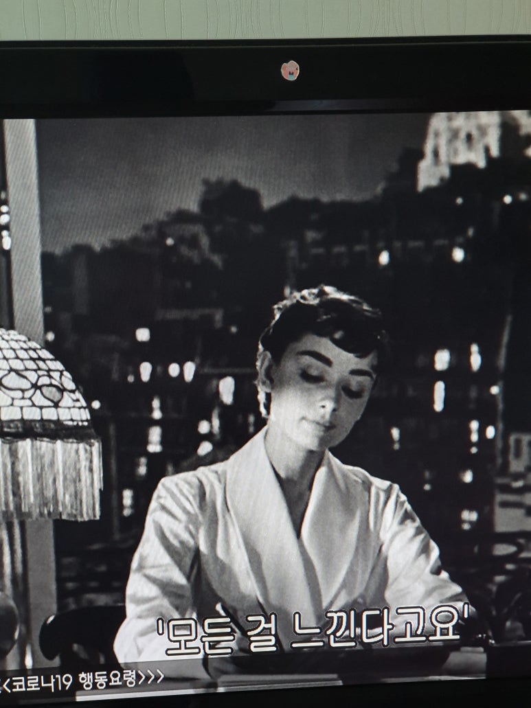 오드리옷장 이미지