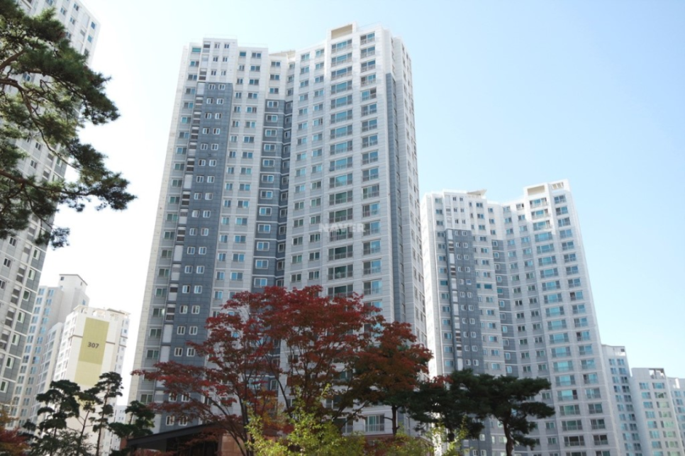 한강２０３ 이미지