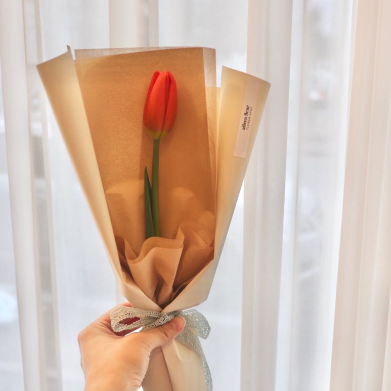 에일린플레르 이미지