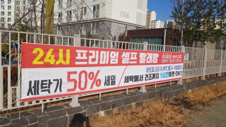 워시테리아전주 이미지