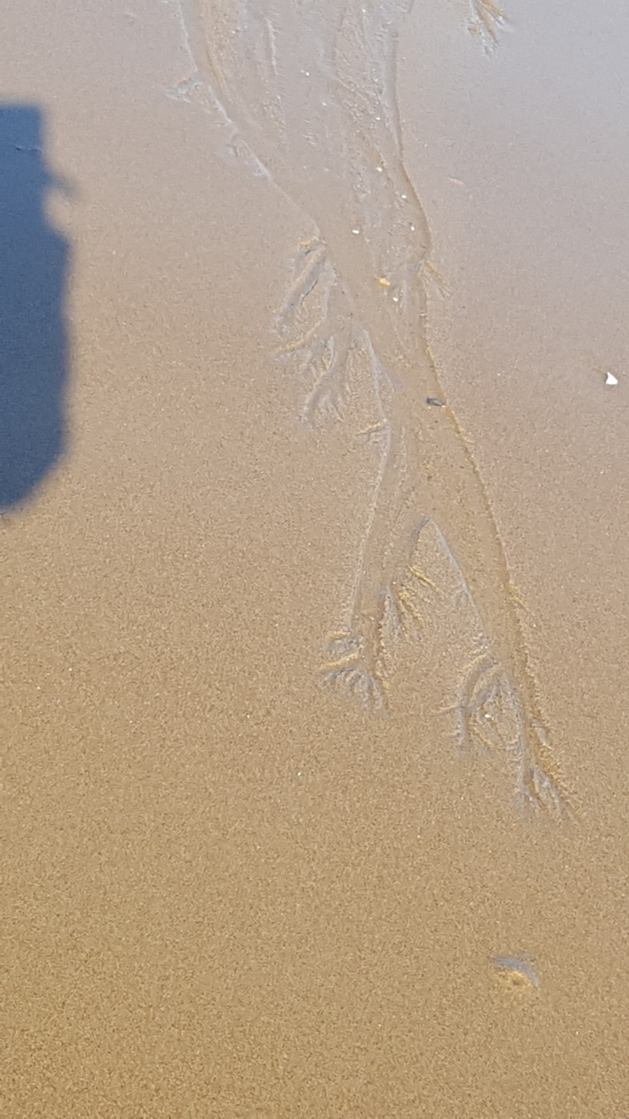 키다리아저씨 이미지