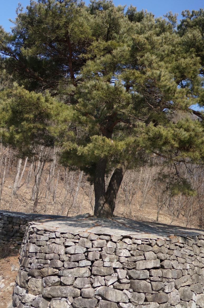산성상회 이미지