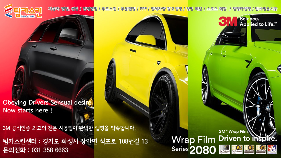 팀카스킨 이미지