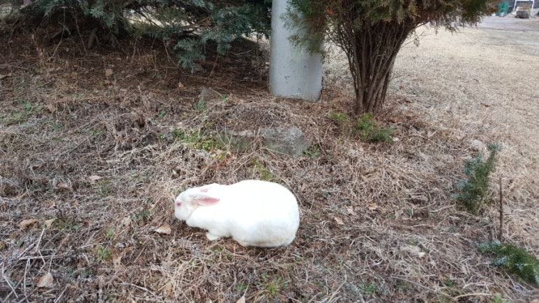 백토농원 이미지