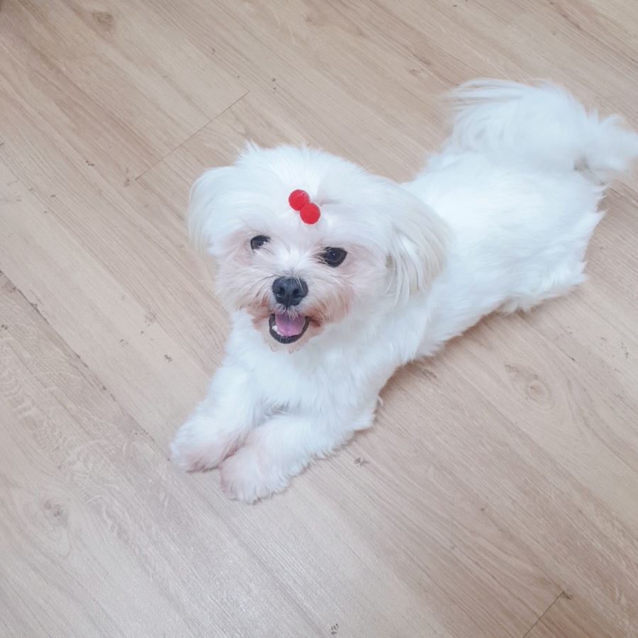 진미솥뚜껑식당 이미지