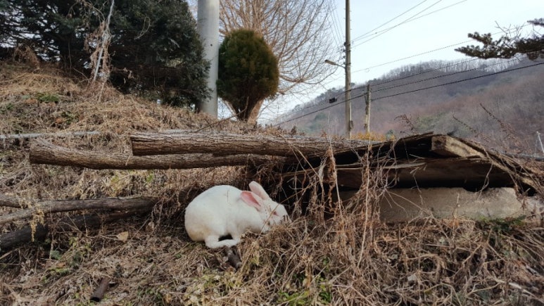 백토농원 이미지