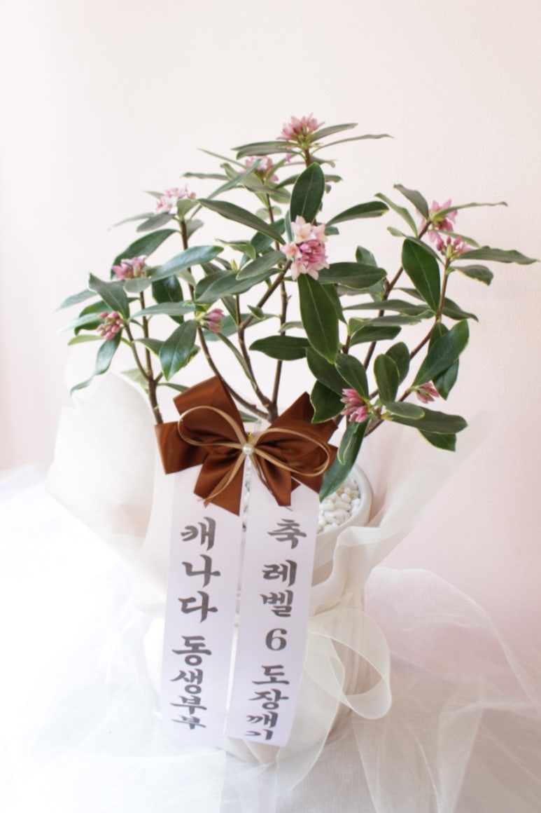 화정플로라 이미지