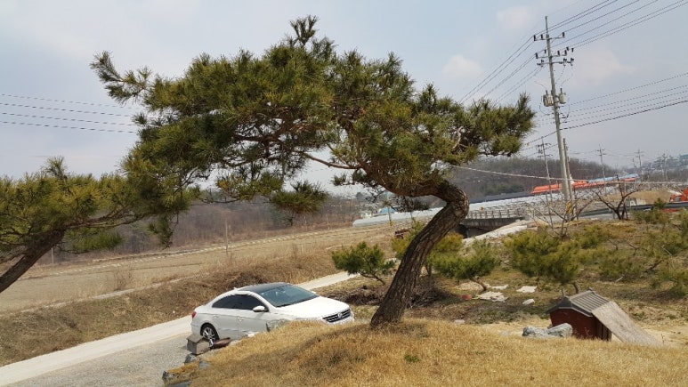양평정원관리 이미지