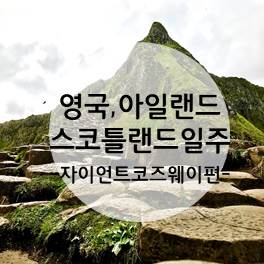 자이언트여행사 이미지