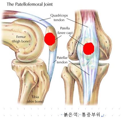 베이스오브바디 이미지
