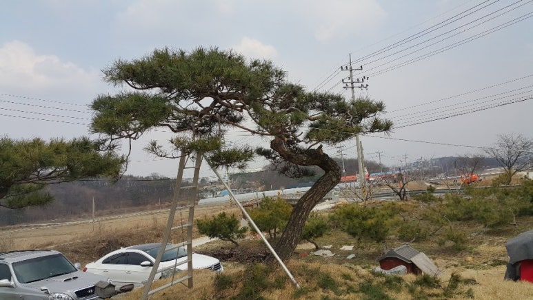 양평정원관리 이미지