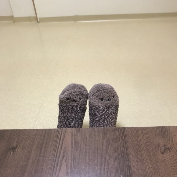 전광사 이미지