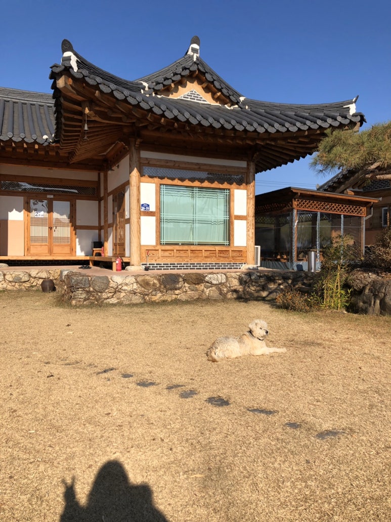 아필코 브런치카페 광주봉선점 이미지