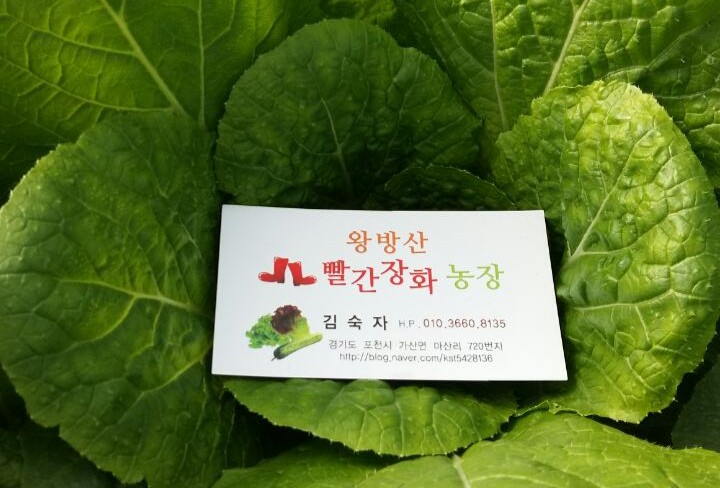 빨간장화 이미지