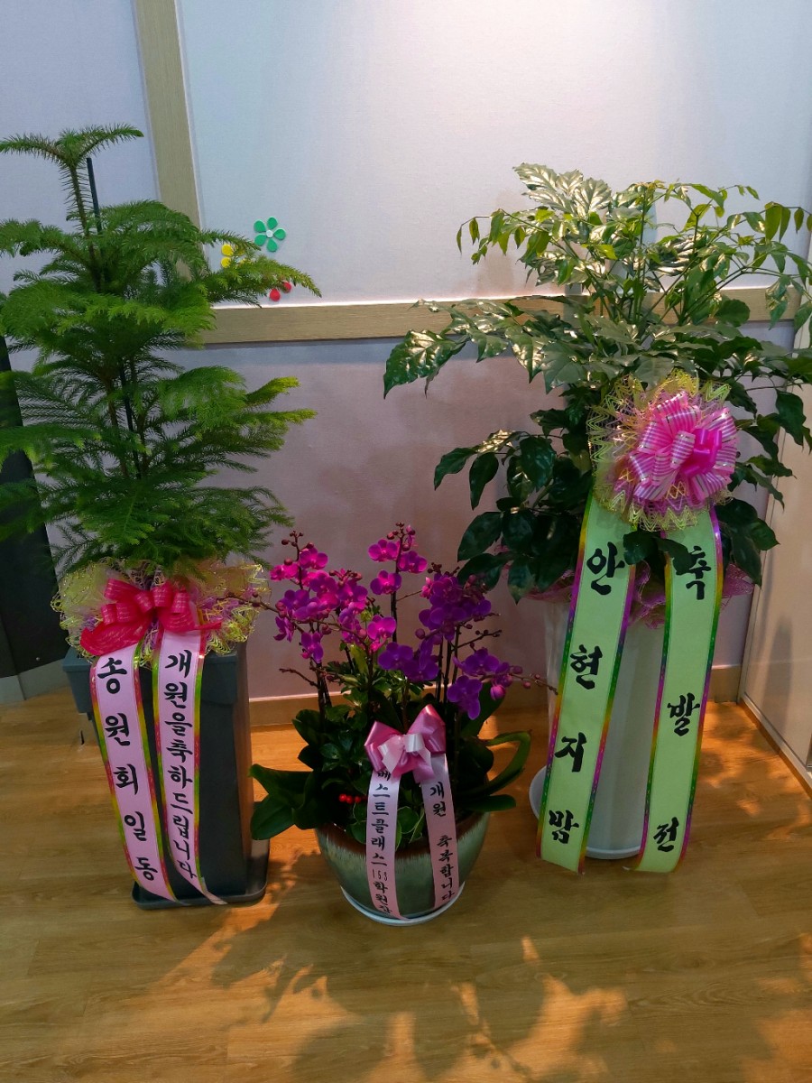 더클래식피아노교습소 이미지