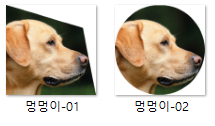 쓱싹 이미지