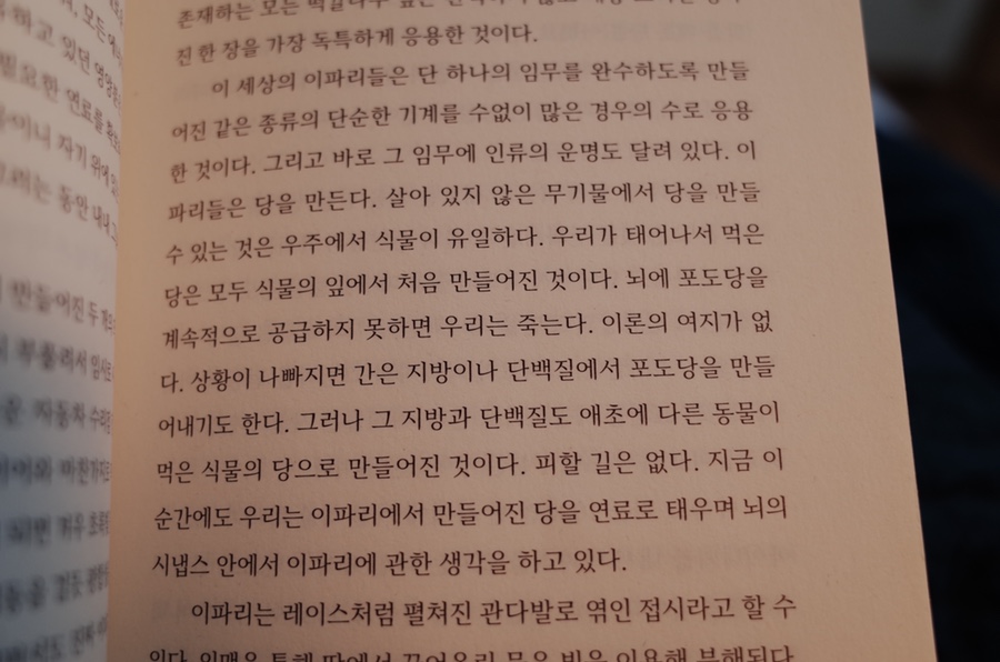 우정호프 이미지