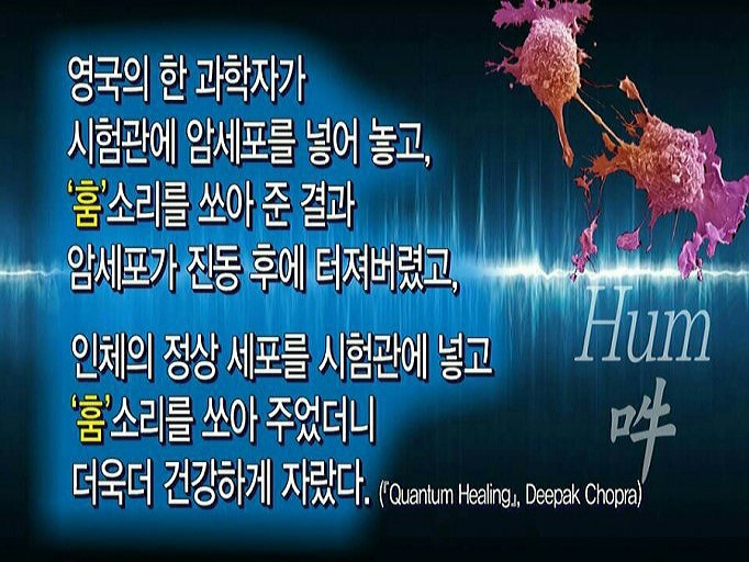 신비소리 이미지