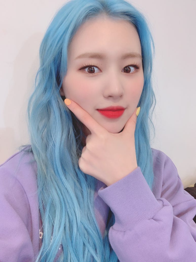 엘리정보 이미지