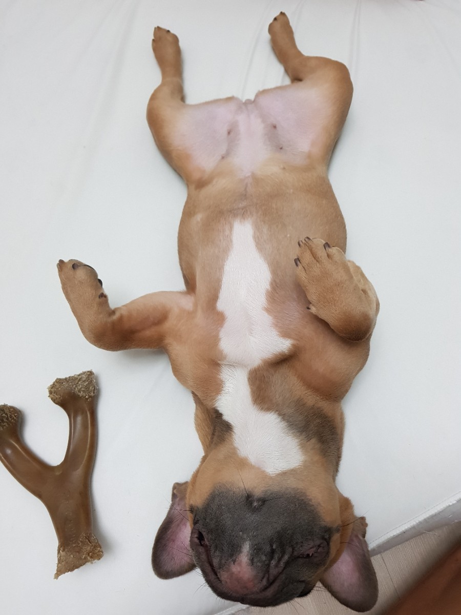 애코카랜드 이미지