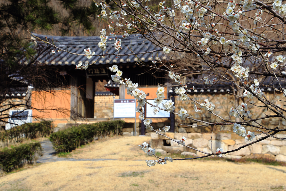 산해정 이미지