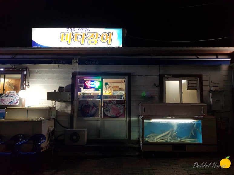 일조바다장어 이미지