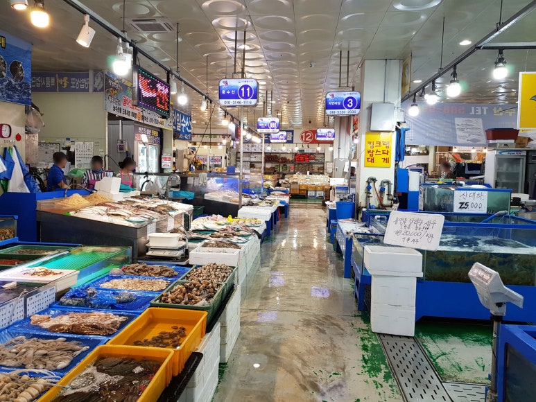 백조푸드 이미지
