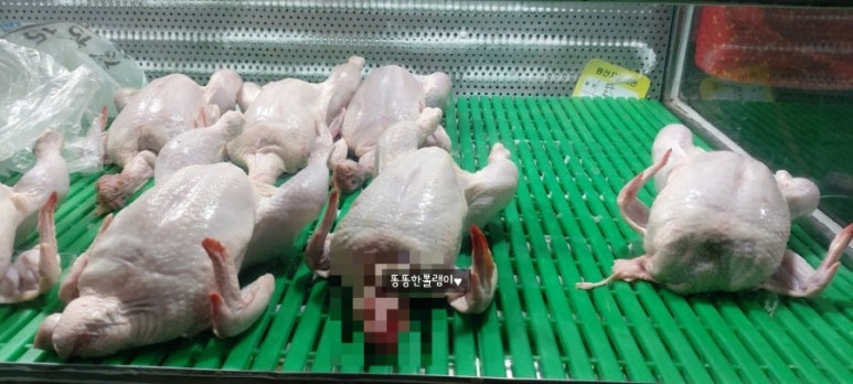 천북닭집 이미지