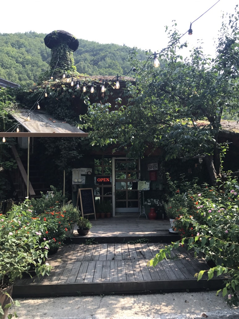 리베볼 이미지