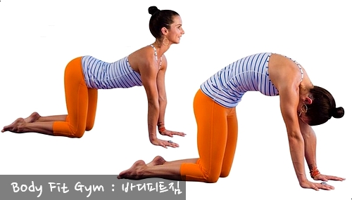 바디피트짐 이미지