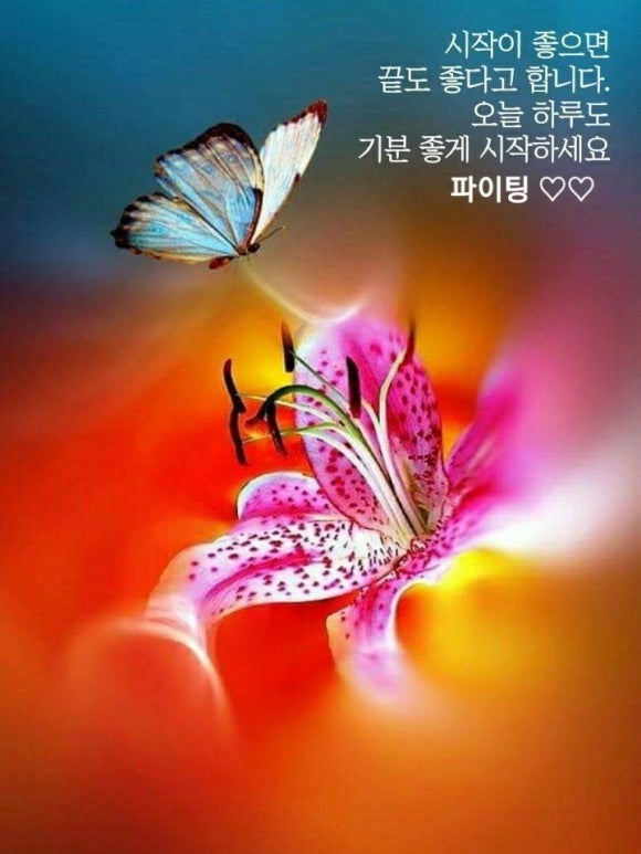 해피세탁 이미지