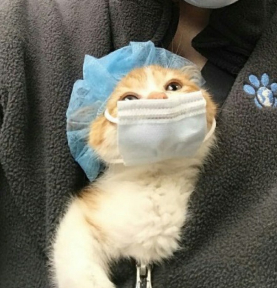 레스트(rest) 이미지