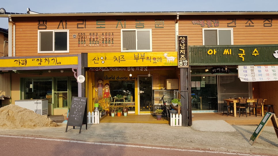 지리산꽃다연 이미지