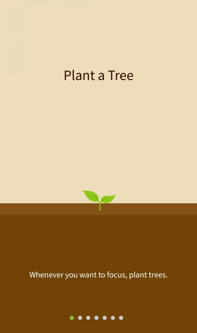 포레스트(forest) 이미지