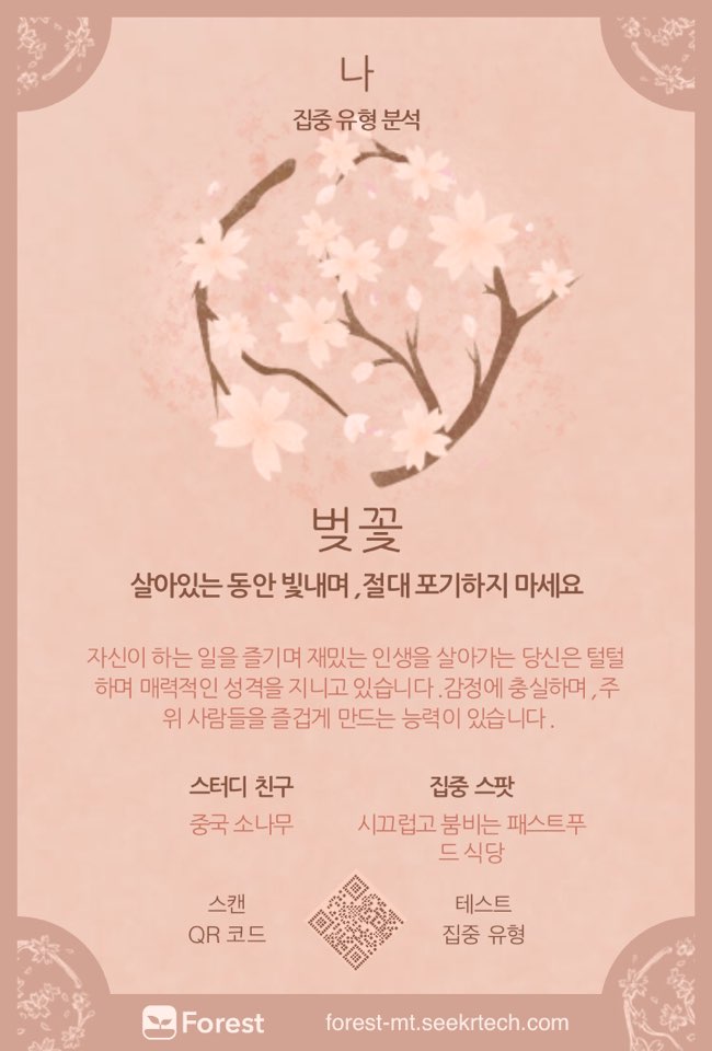 포레스트(forest) 이미지