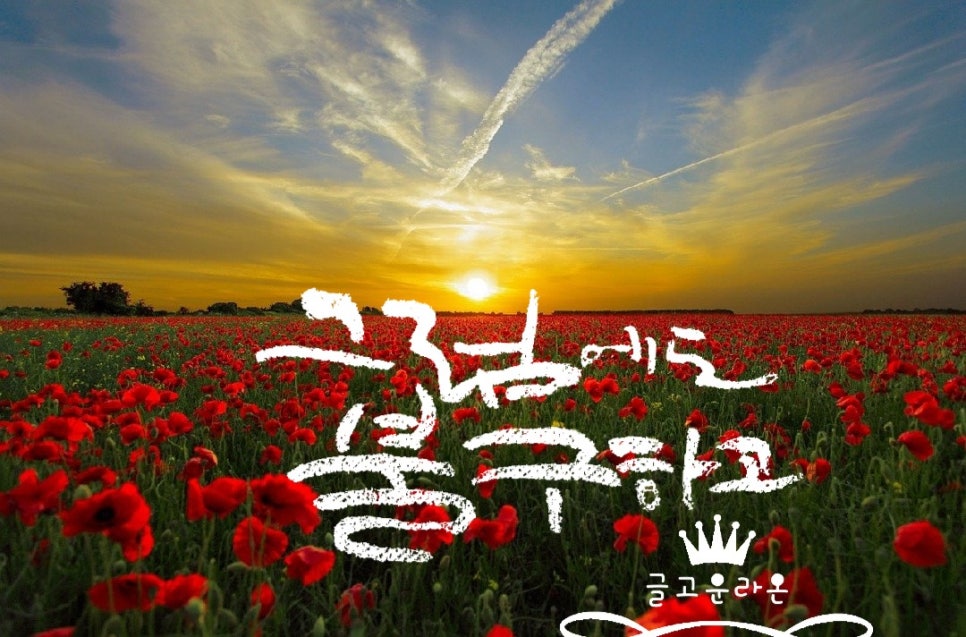 글고운디자인 이미지