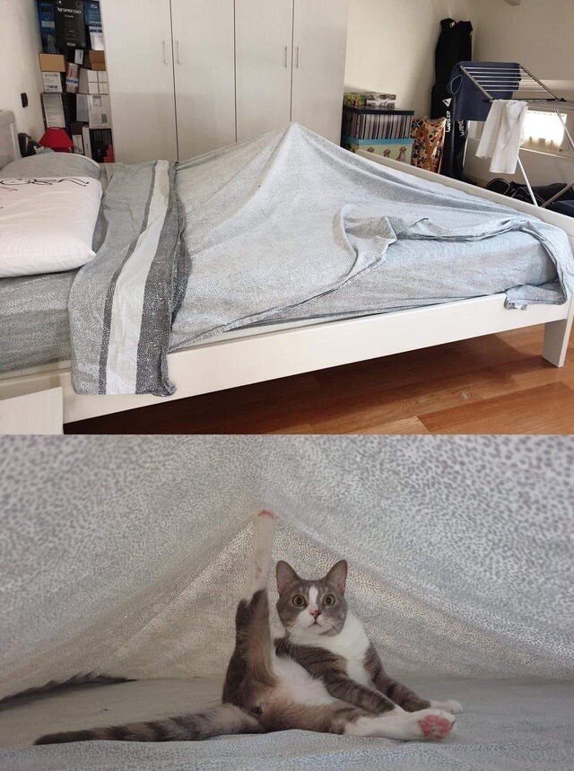 헬푸 이미지