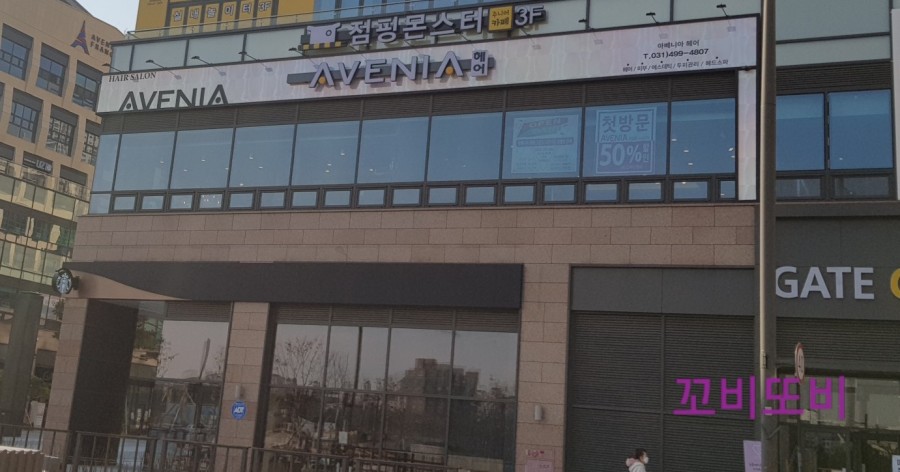 아베니아 이미지