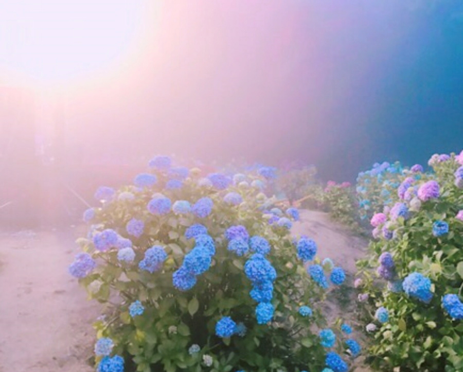 푸른물 이미지