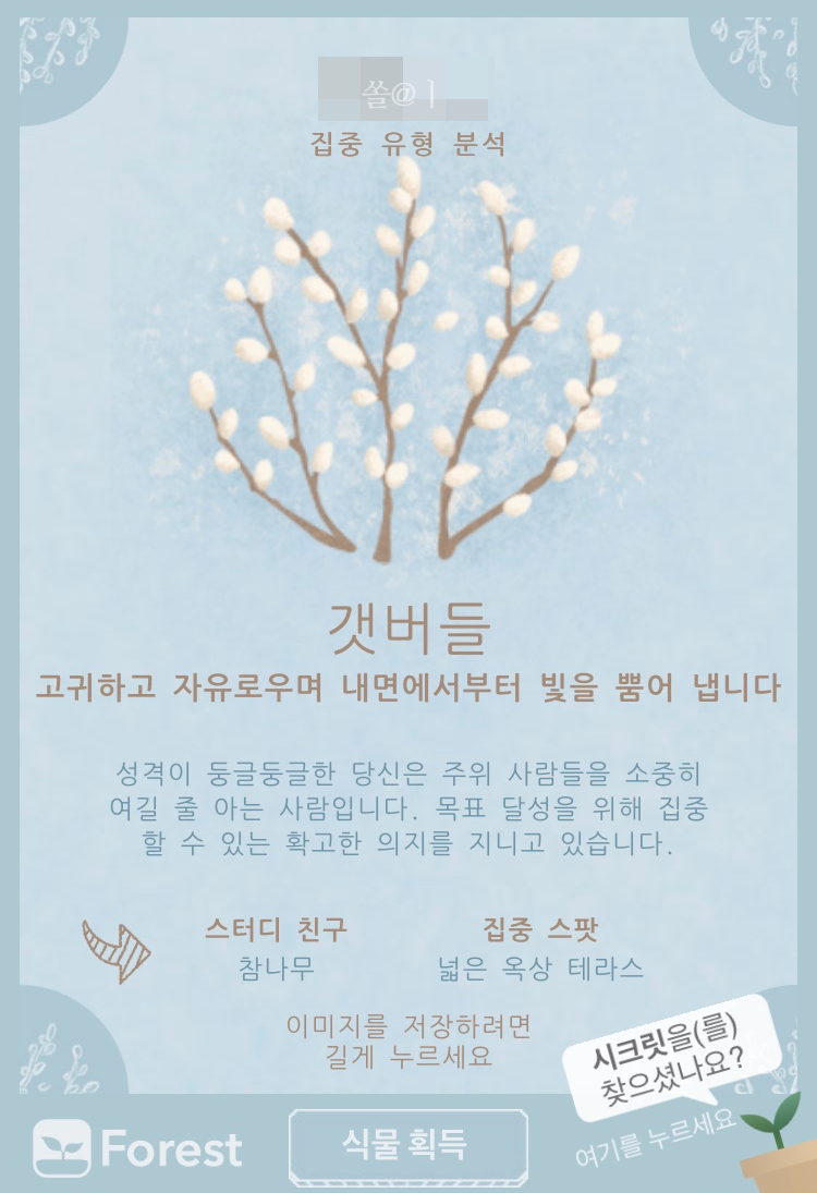 포레스트(forest) 이미지