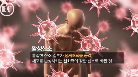 티그린 이미지