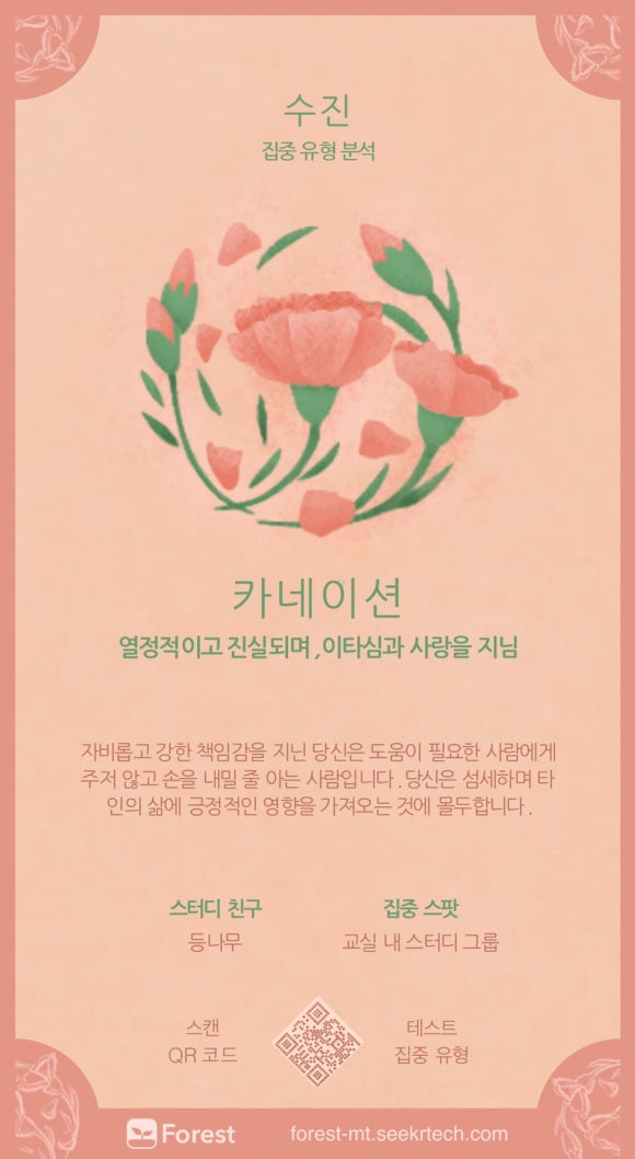 포레스트(forest) 이미지