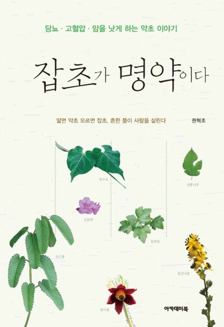 중하아카데미 이미지