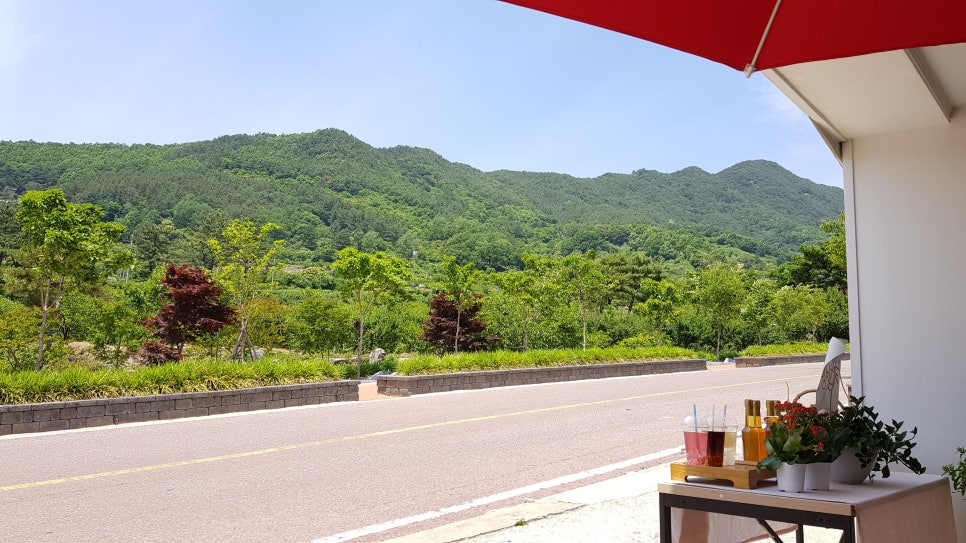 지리산꽃다연 이미지