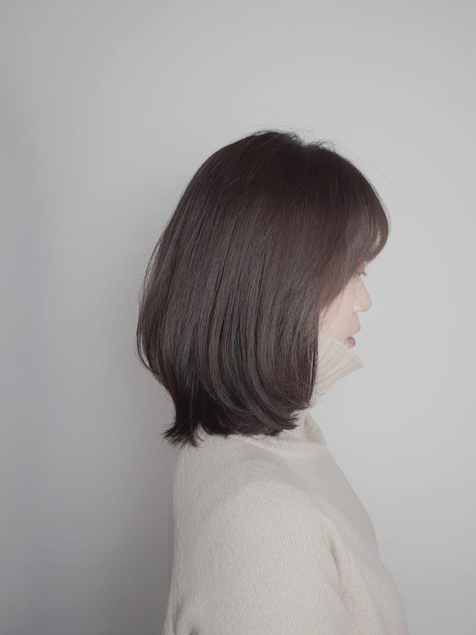브라운스튜디오 이미지