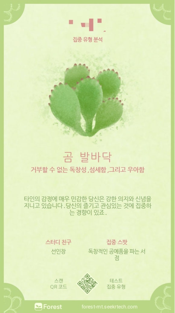 포레스트(forest) 이미지