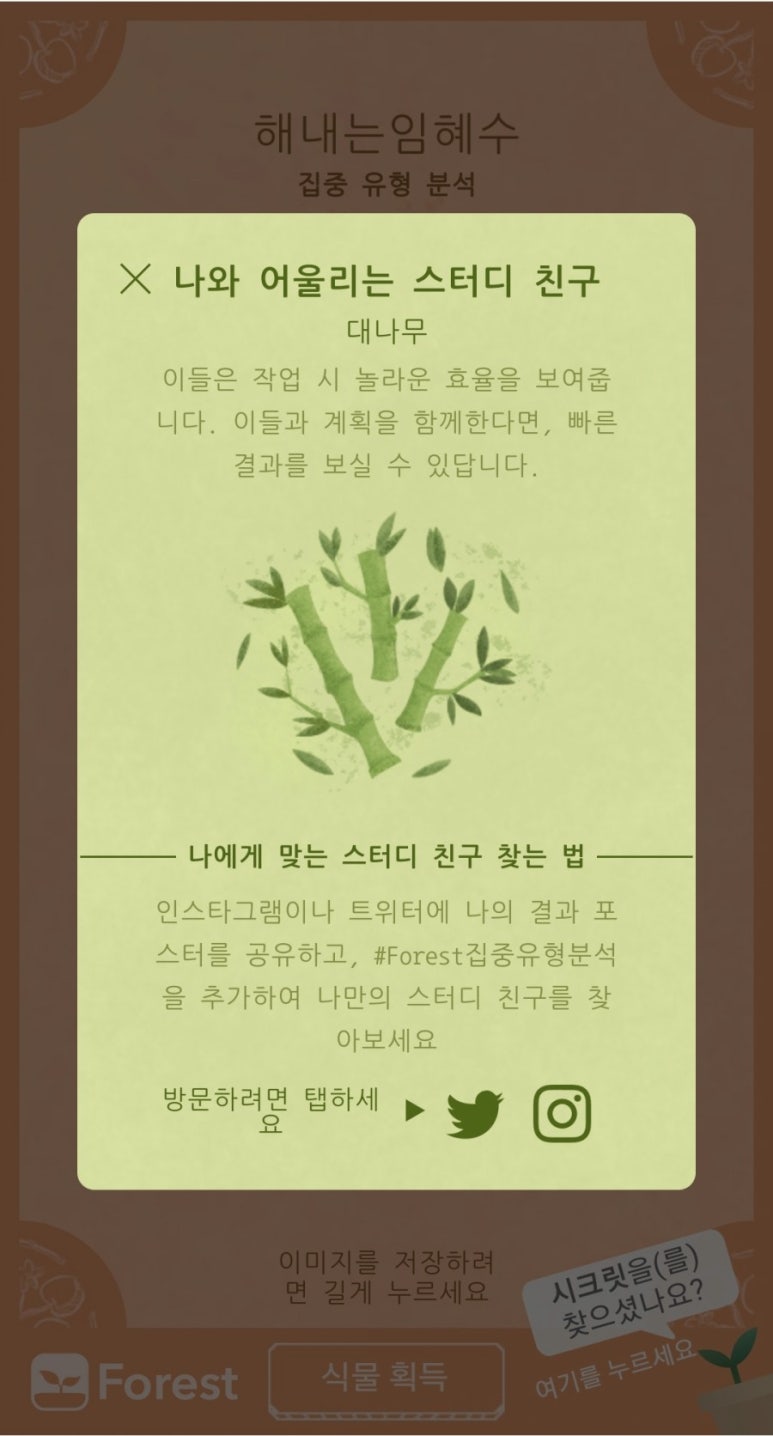 포레스트(forest) 이미지