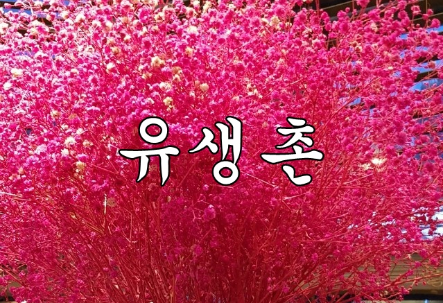 유생촌 목포남악점 이미지